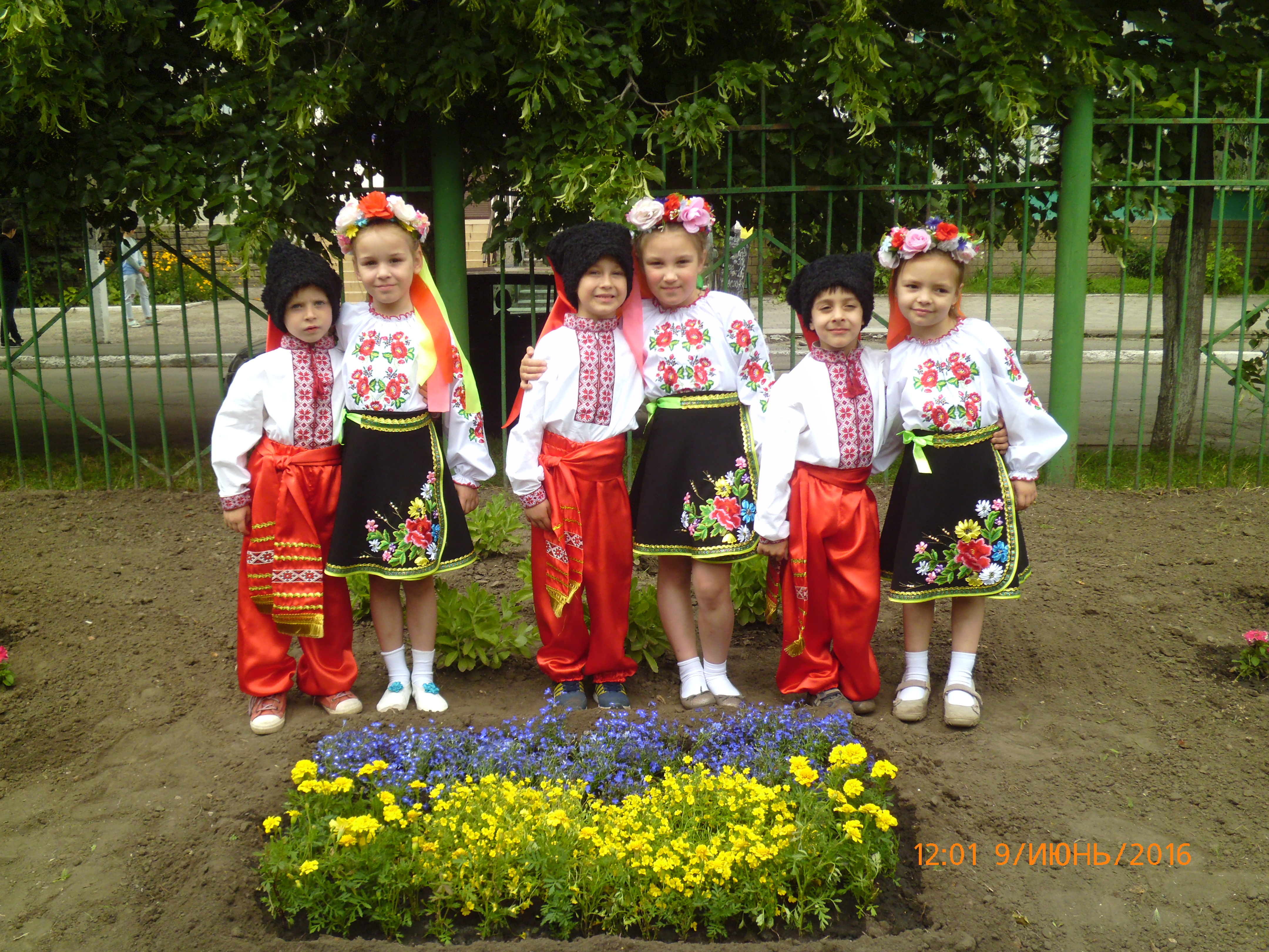 photos